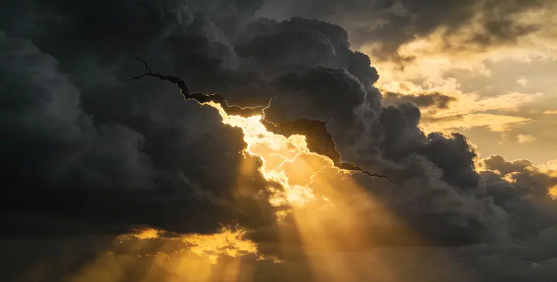 鹤壁肺癌靶向120基因检测（组织）图片1