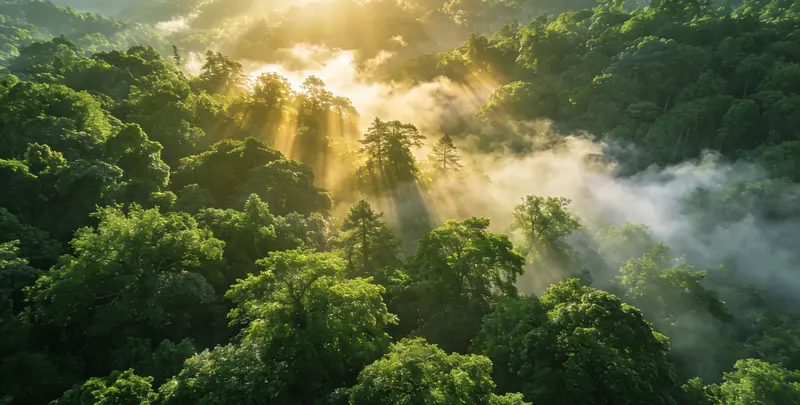 鹤壁肺癌119基因检测图片1