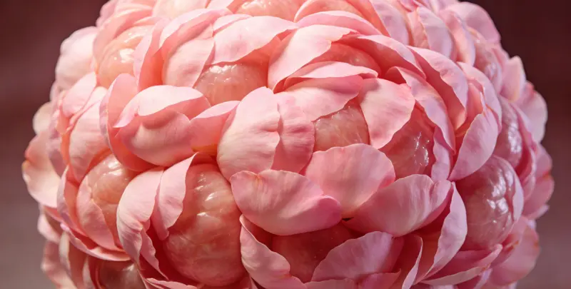 鹤壁BRCA1/2乳腺癌卵巢癌基因检测图片1