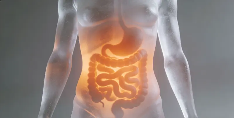 鹤壁胃癌分子分型基因检测项目（组织）图片1